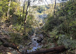 Great Falls Park