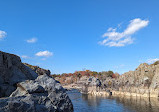 Great Falls Park