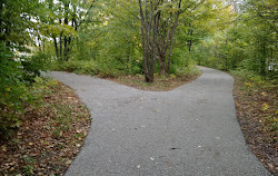 Charles Scott Memorial Park