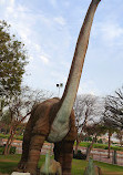 Dinosaur Park