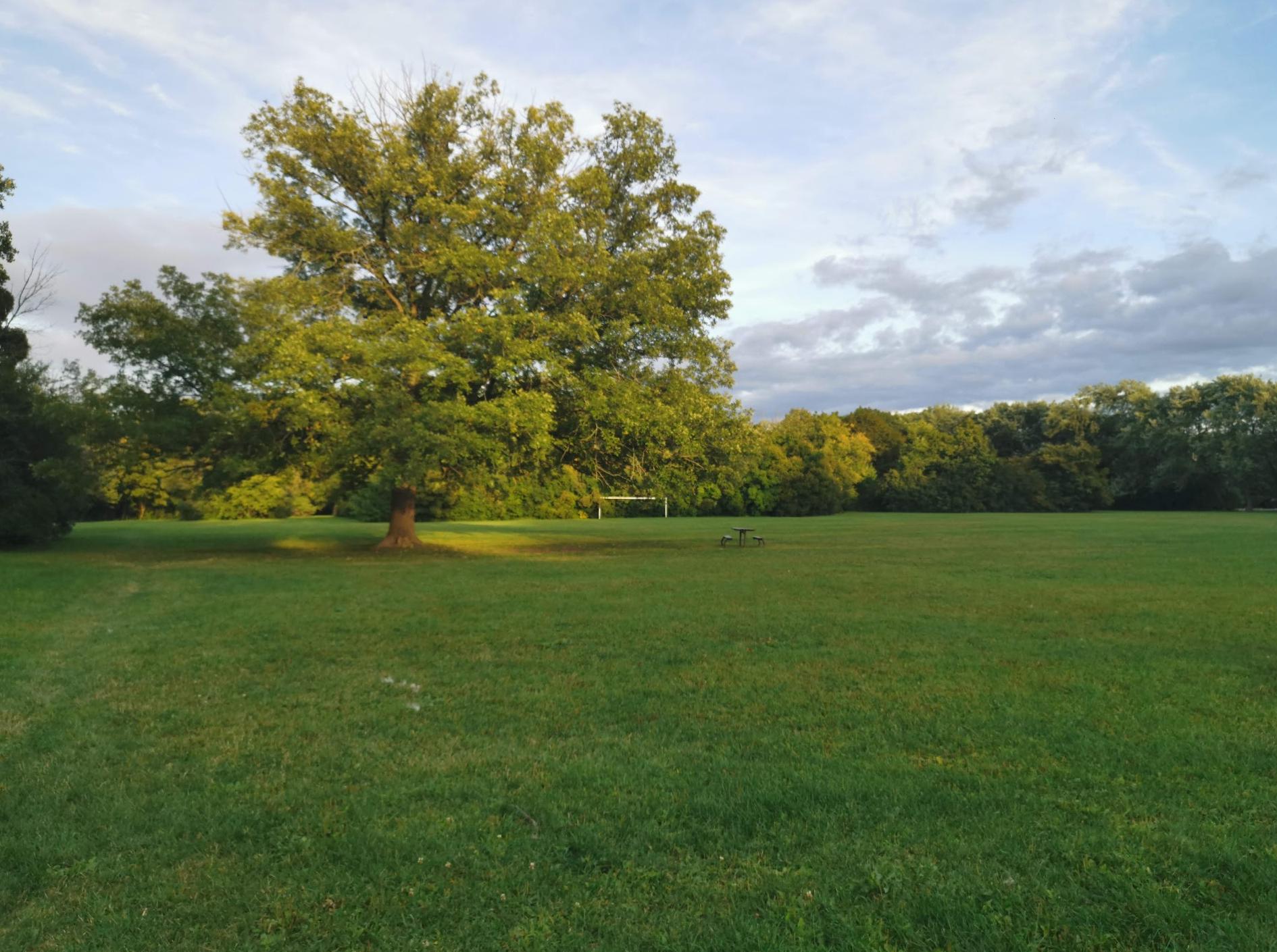 Rockcliffe Parkı Köpek Parkı