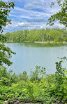 Rockcliffe Park Dog Park