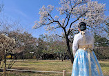 روز Hanbok Gyeongbokgung اجاره Hanbok