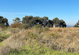 Point Henry Wetlands