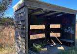 Point Henry Wetlands