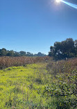 Point Henry Wetlands