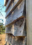 Point Henry Wetlands