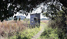 Point Henry Wetlands