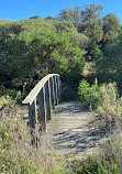 Point Henry Wetlands