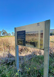 Point Henry Wetlands