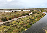 Cheetham Wetlands