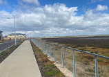 Cheetham Wetlands