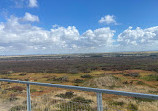 Cheetham Wetlands