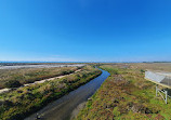 Cheetham Wetlands