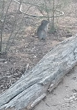 Mt Rothwell Biodiversity Interpretation Centre