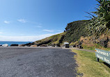 Muttonbird Island Nature Reserve