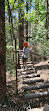 Treetops Adventure Coffs Harbour