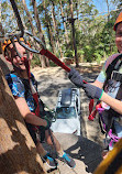 Treetops Adventure Coffs Harbour