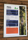 Treetops Adventure Coffs Harbour