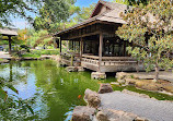 Japanese Garden