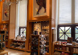 Field Museum Store