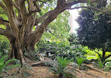 Royal Botanic Gardens