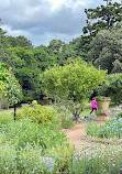 Royal Botanic Garden Sydney