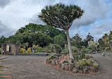 Royal Botanic Garden Sydney