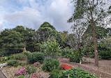 Royal Botanic Garden Sydney