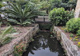 Royal Botanic Garden Sydney