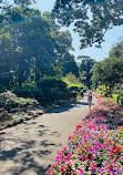 Royal Botanic Gardens