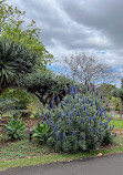 Royal Botanic Gardens