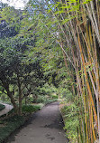 Royal Botanic Garden Sydney