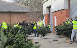 Christmas Tree Delivery NYC