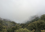 Termessos Ruins