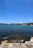 Rocky Point Lookout