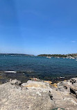 Rocky Point Lookout