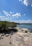 Rocky Point Lookout