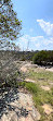 Rocky Point Lookout