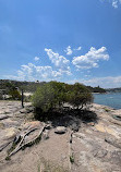 Rocky Point Lookout