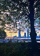 Battery Park City Parks