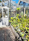 Hortus Botanicus Vrije Universiteit Amsterdam