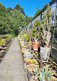 Hortus Botanicus Vrije Universiteit Amsterdam