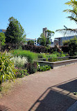 Hortus Botanicus Vrije Universiteit Amsterdam