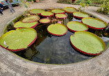 Hortus Botanicus Vrije Universiteit Amsterdam