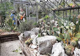 Hortus Botanicus Vrije Universiteit Amsterdam