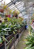 Hortus Botanicus Vrije Universiteit Amsterdam