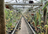 Hortus Botanicus Vrije Universiteit Amsterdam