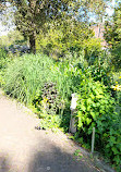 Hortus Botanicus Vrije Universiteit Amsterdam