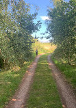 Farm on the Hill Camping